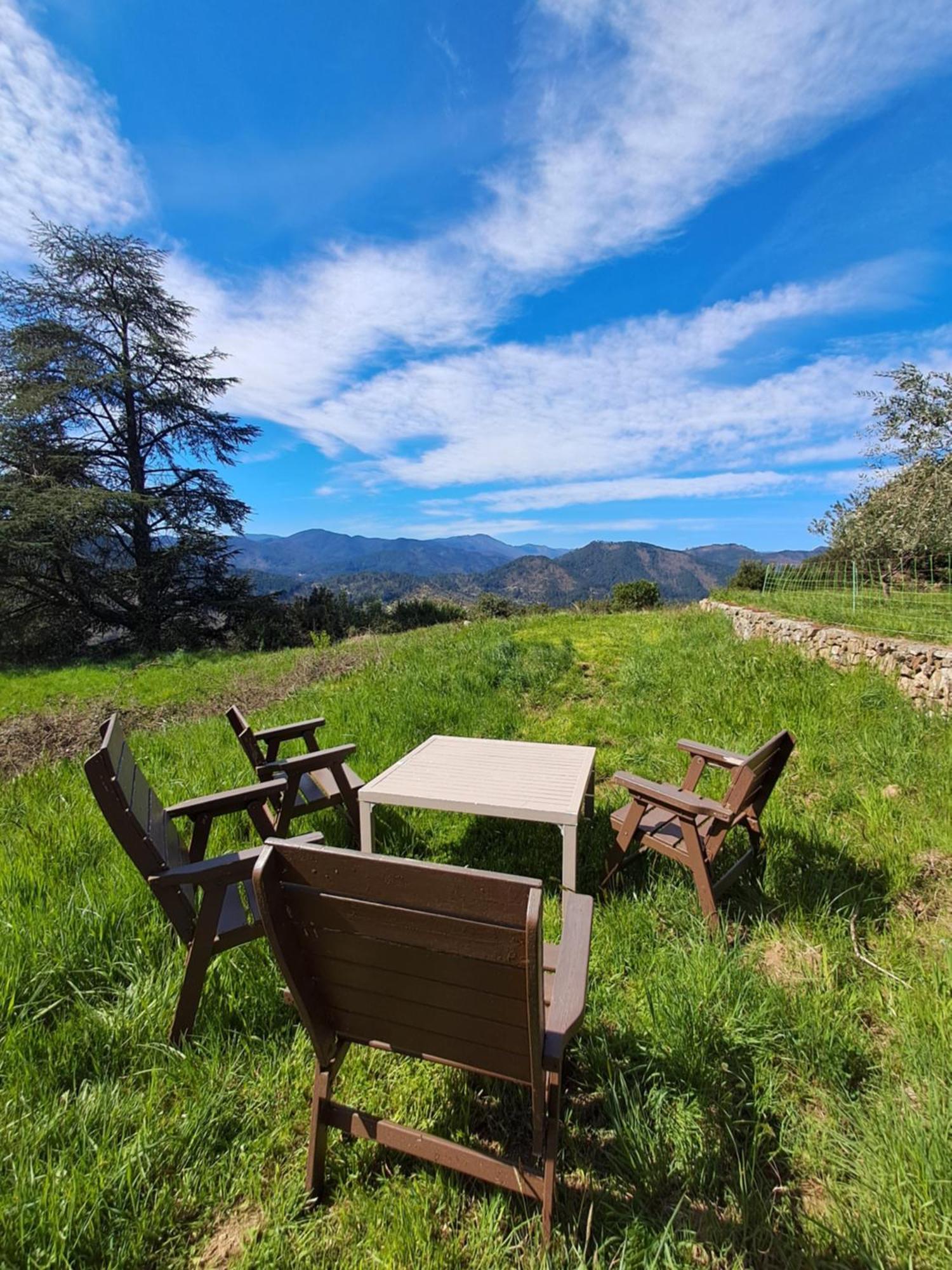 Chambre D'Hote Dans Mas Proche Anduze Cevennes Avec Piscine Mialet  Екстериор снимка