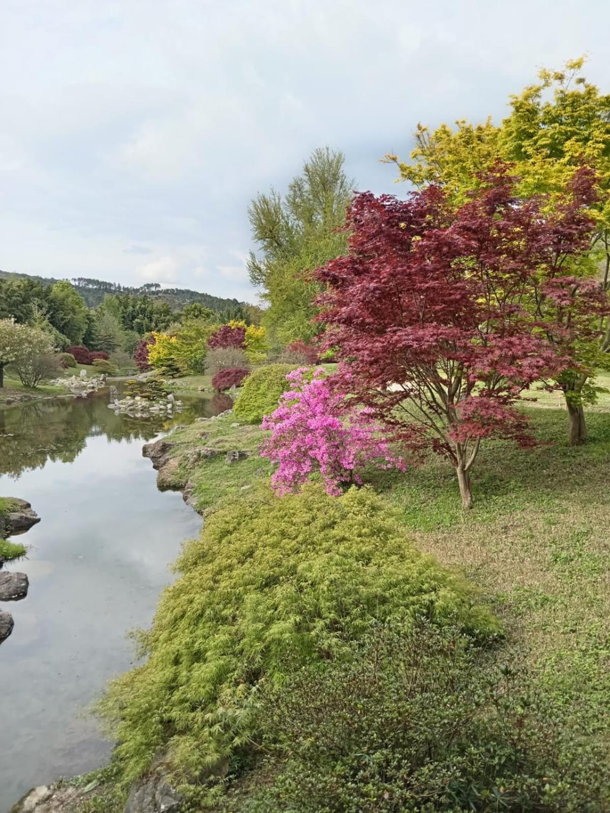 Chambre D'Hote Dans Mas Proche Anduze Cevennes Avec Piscine Mialet  Екстериор снимка