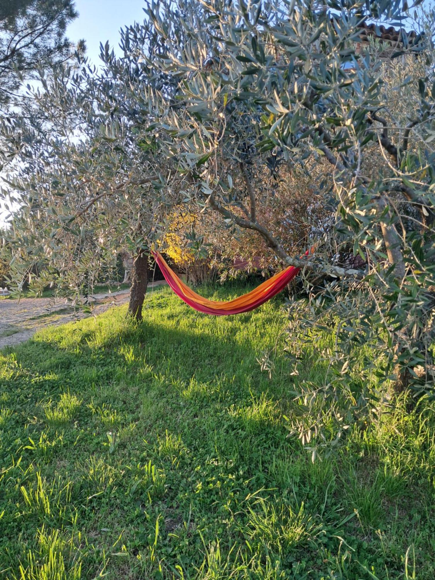 Chambre D'Hote Dans Mas Proche Anduze Cevennes Avec Piscine Mialet  Екстериор снимка