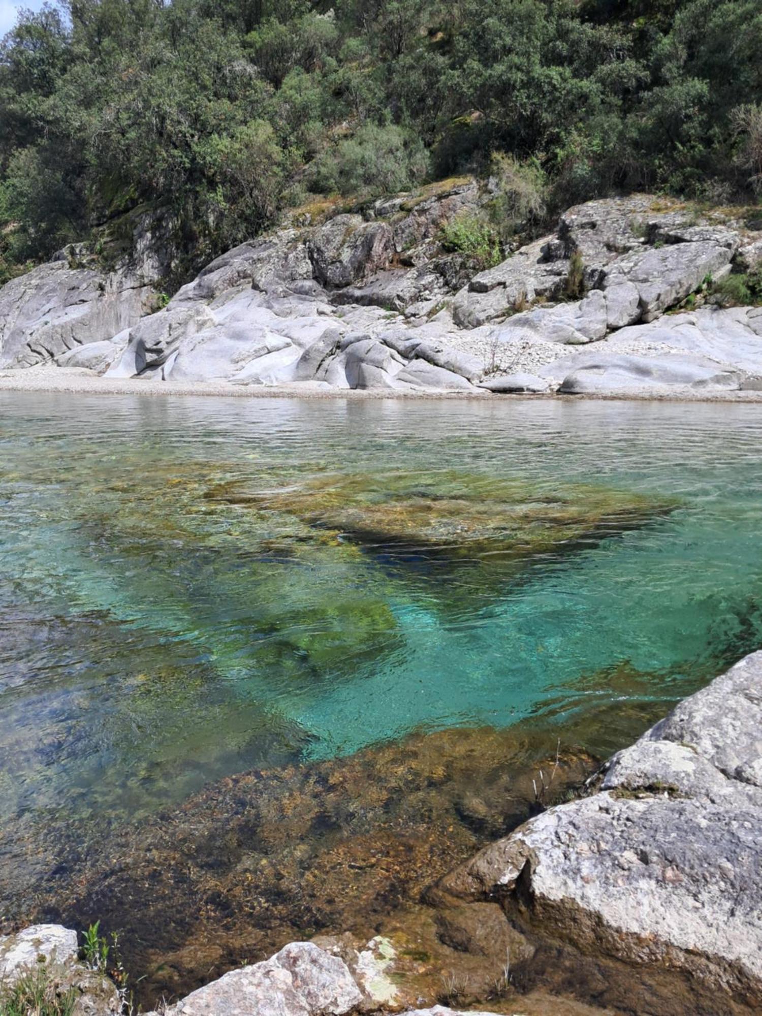 Chambre D'Hote Dans Mas Proche Anduze Cevennes Avec Piscine Mialet  Екстериор снимка